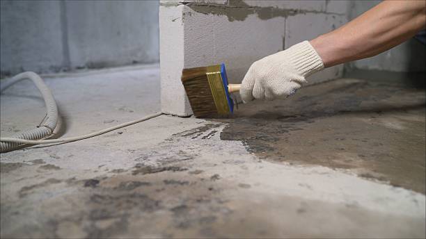 SJ Waterproofing Pros Waterproofing coverage map for Ludington, MI and surrounding area